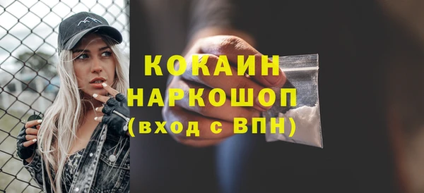 прущие грибы Нефтекумск