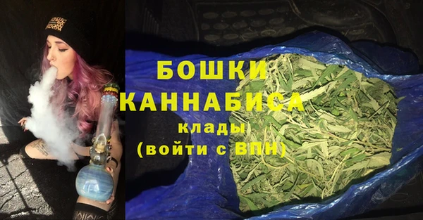 прущие грибы Нефтекумск