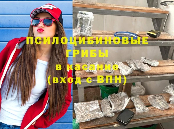 твердый Алексин