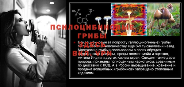 твердый Алексин