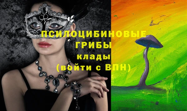 твердый Алексин