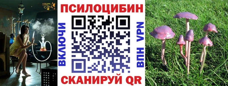 Псилоцибиновые грибы Psilocybine cubensis  наркотики  Волгодонск 