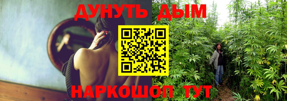 Конопля SATIVA & INDICA Волгодонск